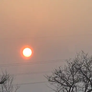 Profile image of 김선우