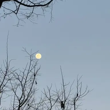 Profile image of 이나경