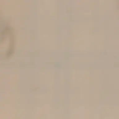 Profile image of 現在九州