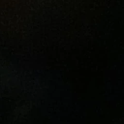 유지민