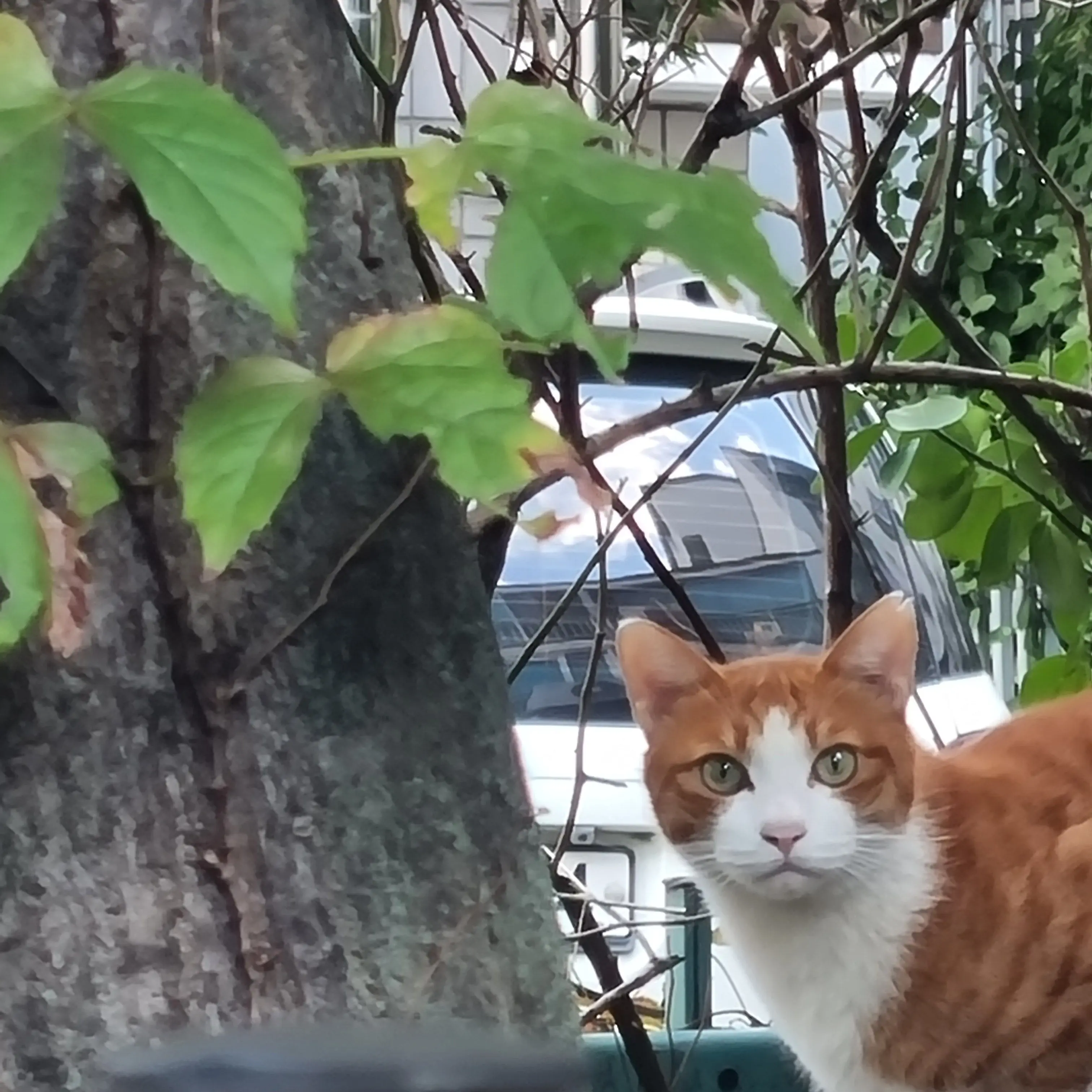 ggoo12348060의 포켓멍 센터🐶