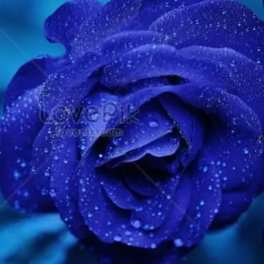 Profile image of 잠뜰