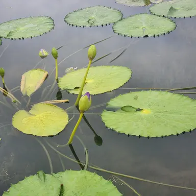 Profile image of 범인