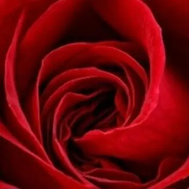 Profile image of 라더