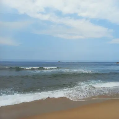 Profile image of 욘졍한