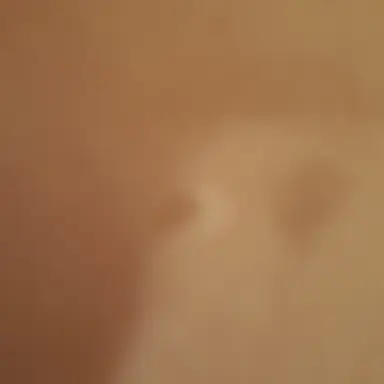 Profile image of AI1