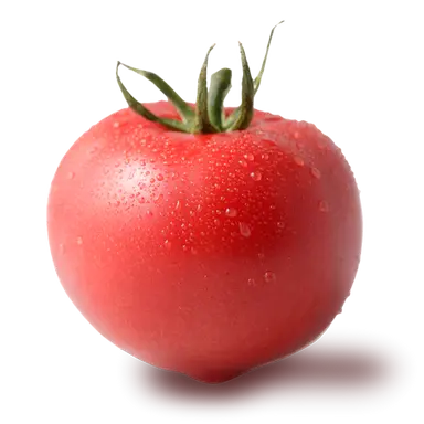 Profile image of テッラ