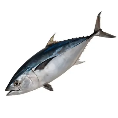Profile image of 우유참치