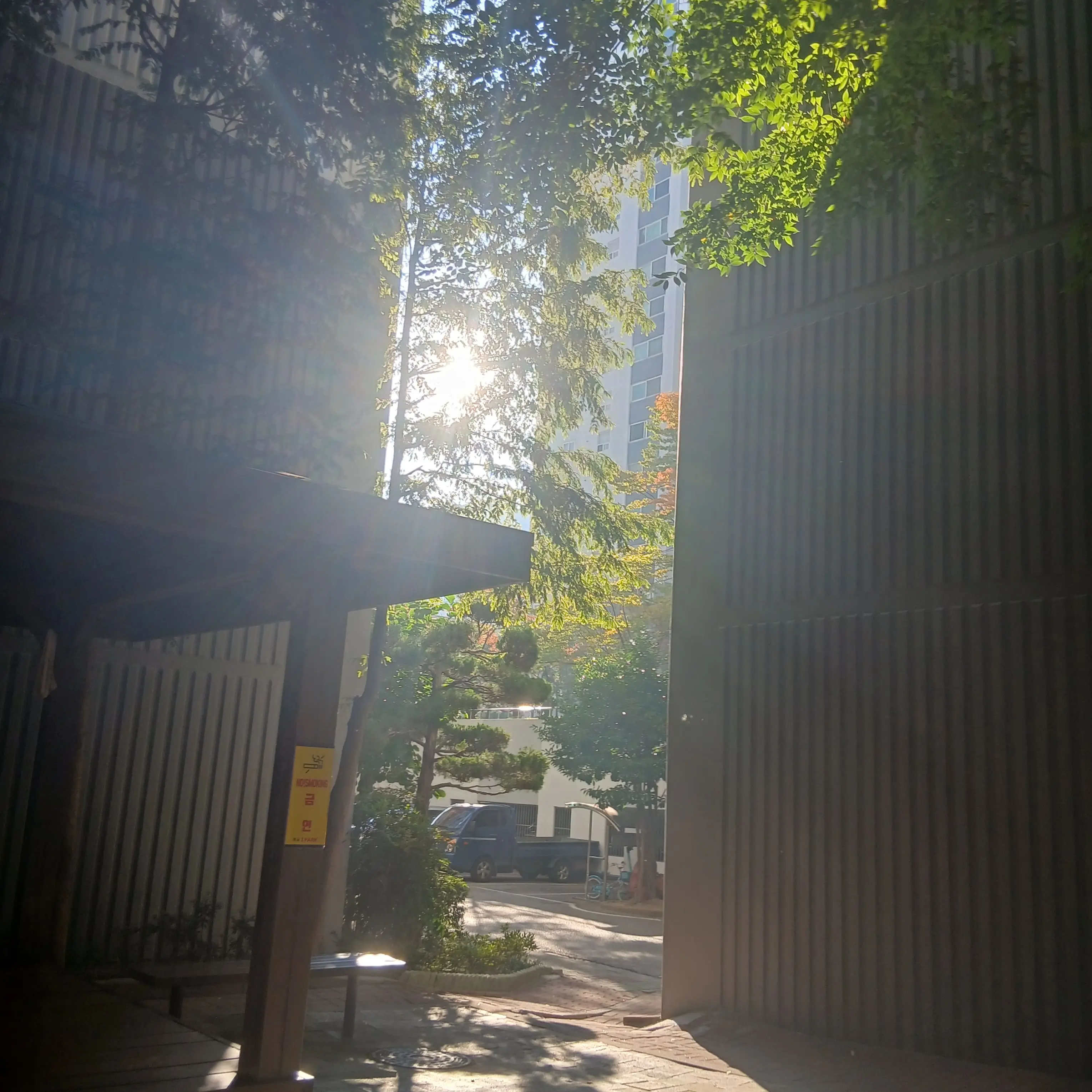 Yre7tfdy5rdsdry의 내가 괴롭히던 찐따가 싸움1짱이 됬다