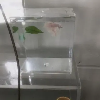 Profile image of 구도훈