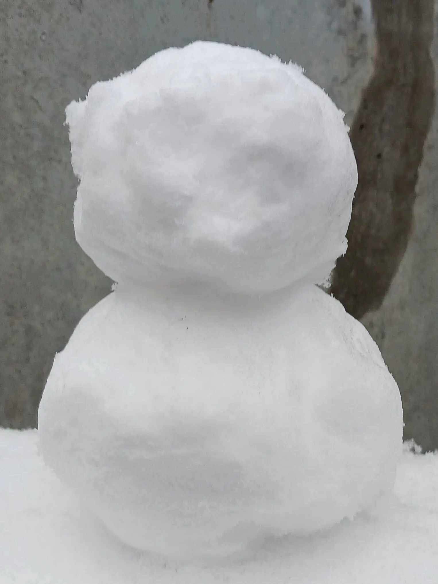 PoorCello9524의 天使の羽広げて…