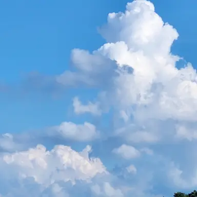 Profile image of 문동주