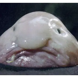 Profile image of 고가은