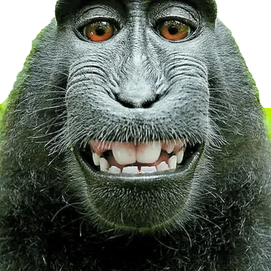 Profile image of 아이리스