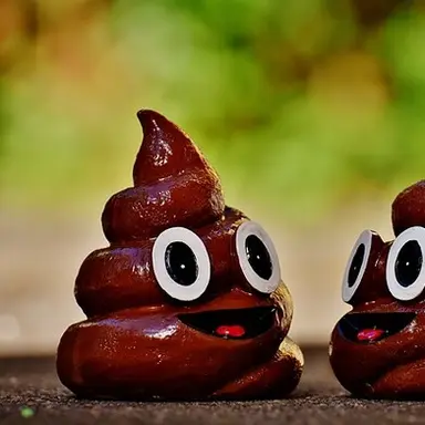 Profile image of 똥