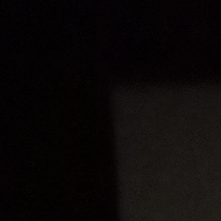 김동현
