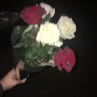 Profile image of 카터 브렌슨