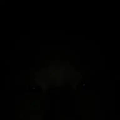 Profile image of 평학