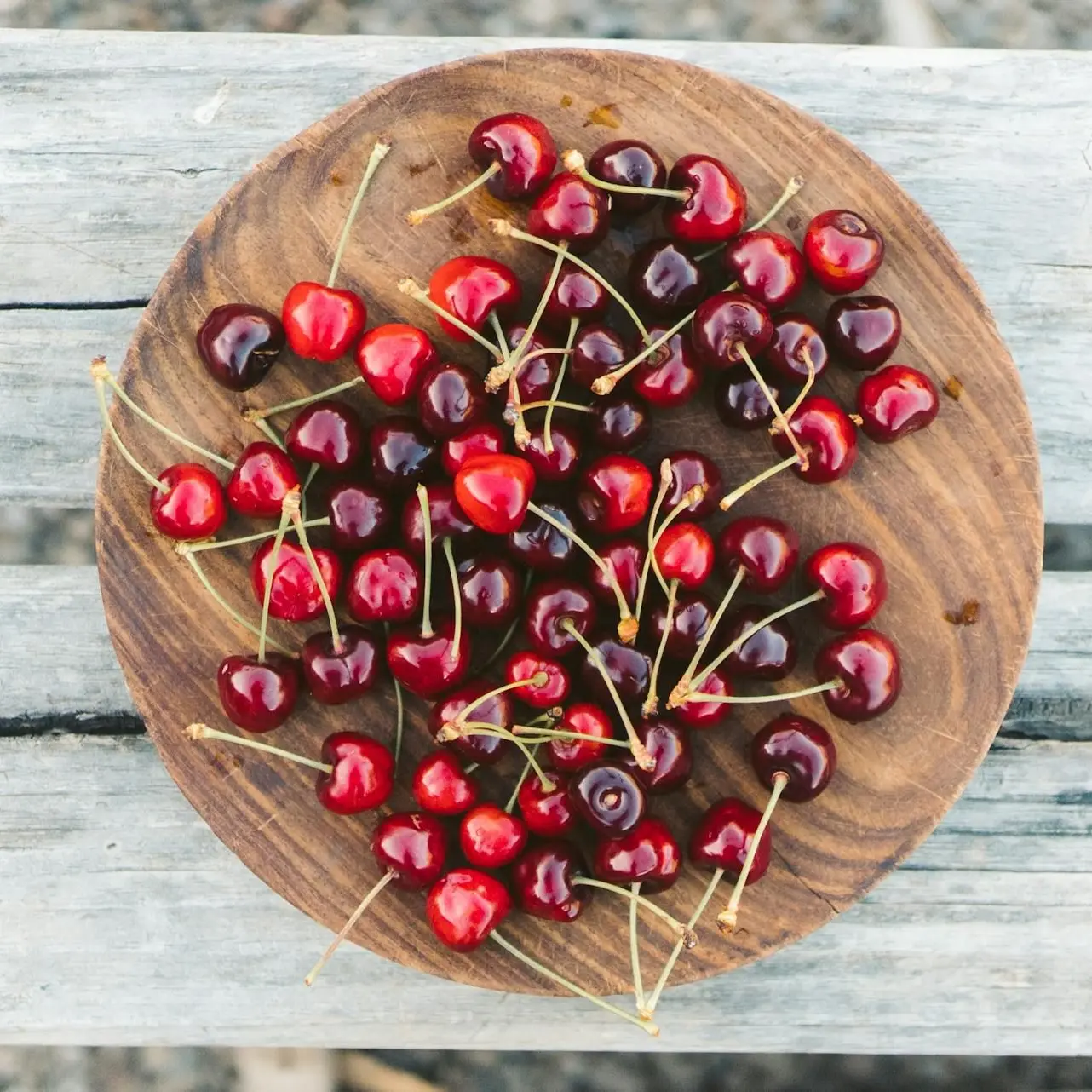 DottedOven2404의 귀여운 우리 고양이