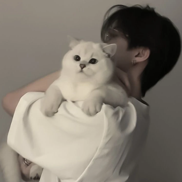 박한서