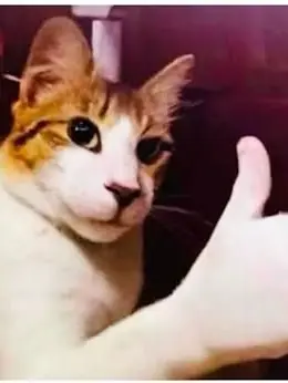 Yuralee의 분리불안