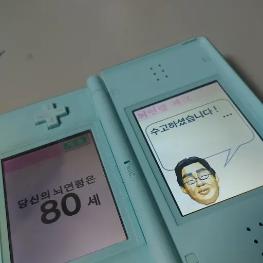 PlumTower7090의 닌텐도 ds