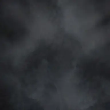 Profile image of 어둠