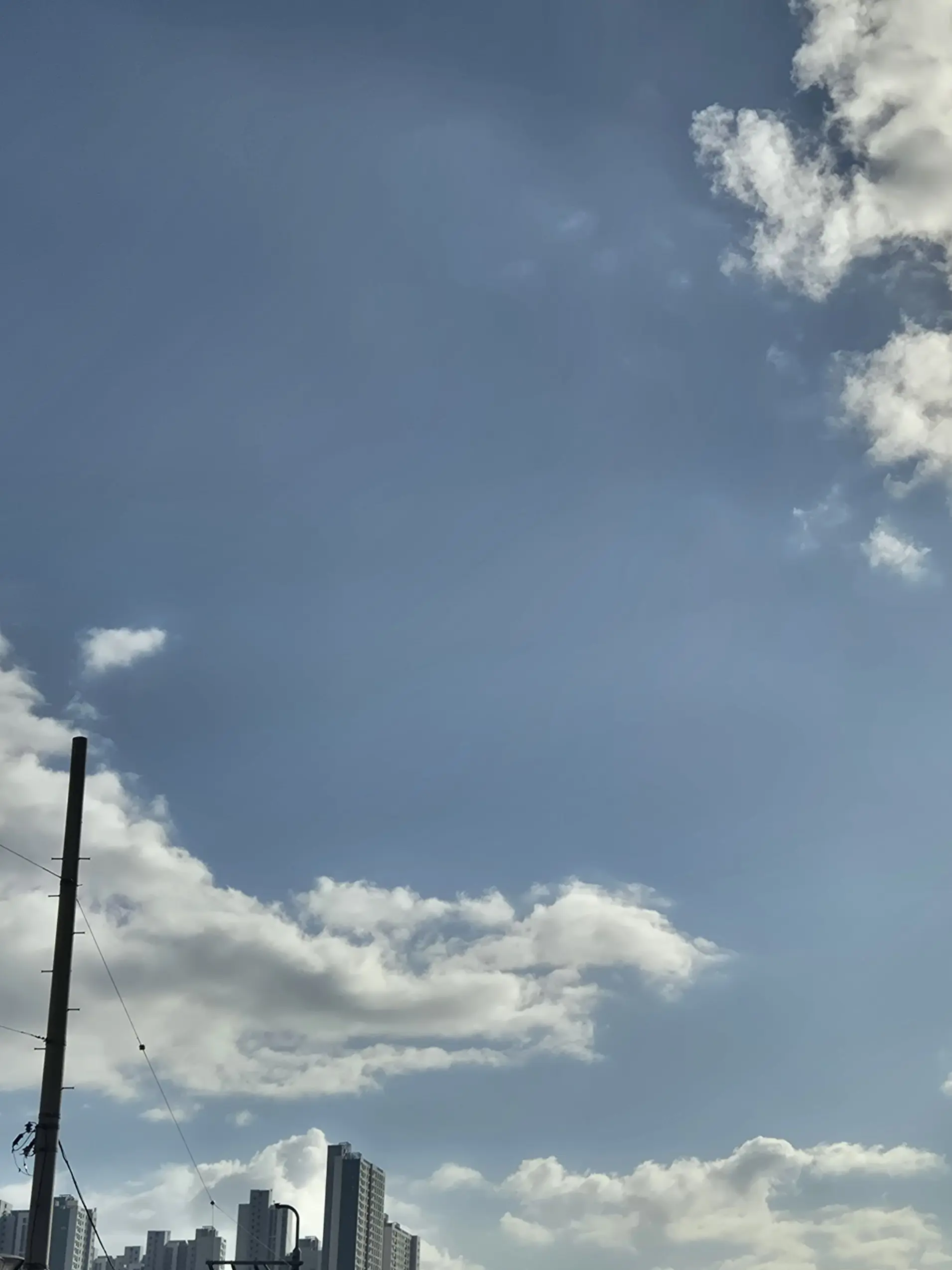 SweetSiren0431의 초세여 + 여우🦊