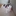 술에 쩐 꾸치