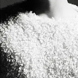Daesung.s_wife의 강대성