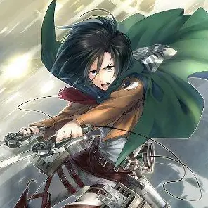 Profile image of ミカサ