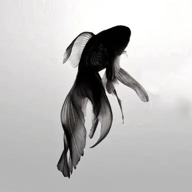 Profile image of 서도혁