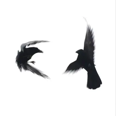 Profile image of 이가람