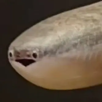 Profile image of 여우