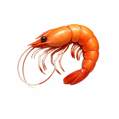 Profile image of 参加者３