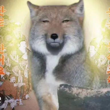 Profile image of 못쉥긴 돼지여우