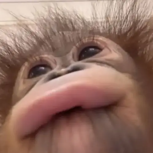 sophiaandivy의 K잼민