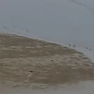 Profile image of 팀나빠