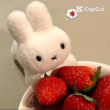 Profile image of 채스터