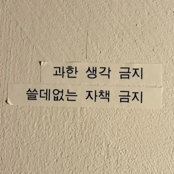SOLYLU의 [ 사격부 에이스 걔 ]