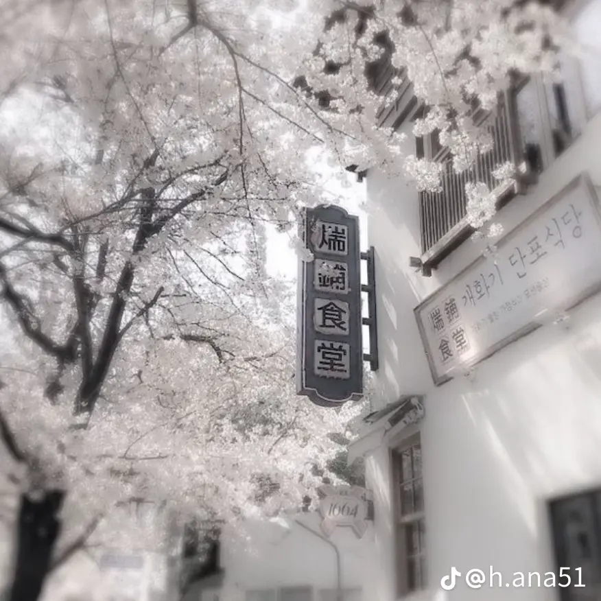 SmokyHare1455의 김태래