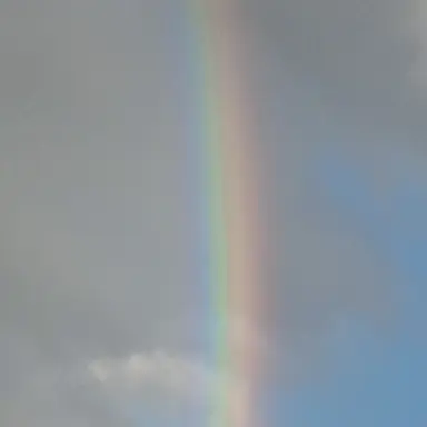 Profile image of 모찌엘