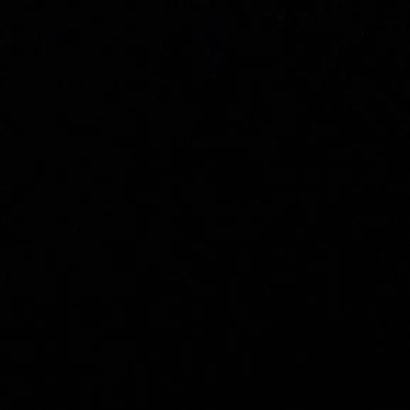 svt._0의 크리스마스 권숝영