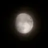 Profile image of 月の恋人