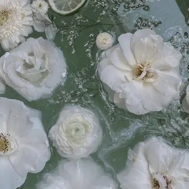 Profile image of 정공룡