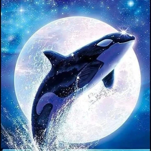 シャチ
