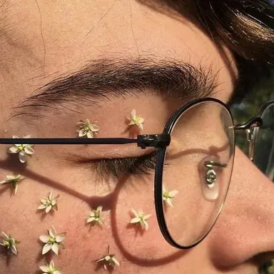 Profile image of James Potter