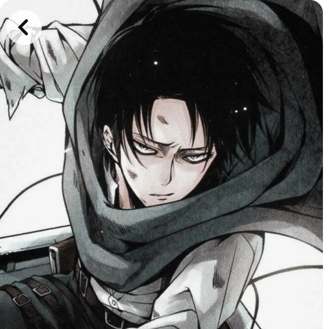 LazyFlare9080의 리바이 아커만