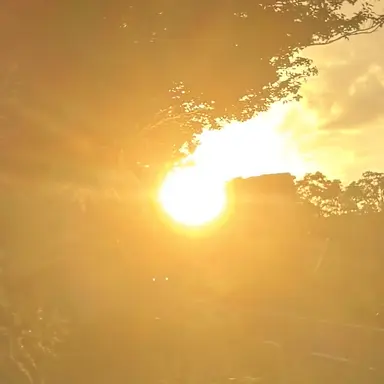 Profile image of 上野くん