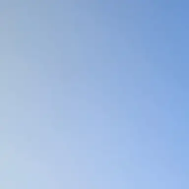 Profile image of 미국